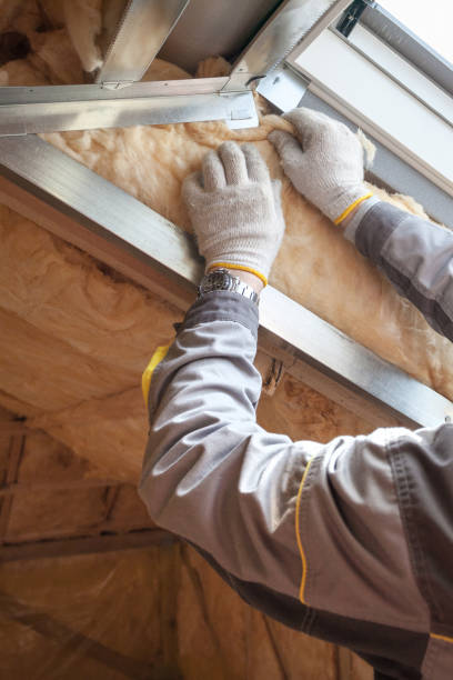 Best Residential Insulation in Foley, MN
