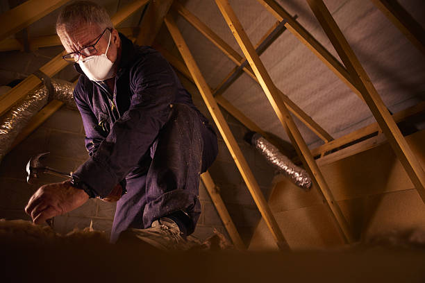 Best Specialty Insulation in Foley, MN